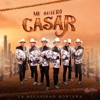 Me Quiero Casar - Single