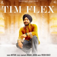 Tim Flex - Single - Mittar