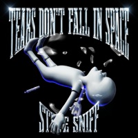 Tears don't fall in space - Steve Sniff