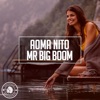 Mr Big Boom - Single
