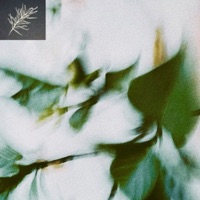 Breezyleaves - Single - sloh rou & ron quixote