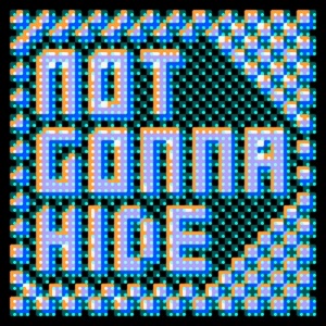 Not Gonna Hide - Single