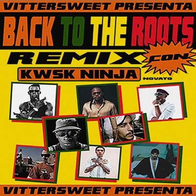 Back To The Roots Rmx (Remix) - Single