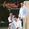 Dorindo Cárdenas - Amigo acordeón (feat. Adonis Cárdenas Miltón Saucedo Y El Orgullo Santeño)