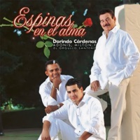 Dorindo Cárdenas - Amigo acordeón (feat. Adonis Cárdenas Miltón Saucedo Y El Orgullo Santeño)