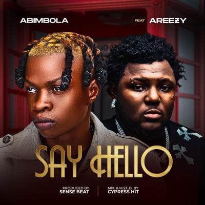 Say Hello (feat. Areezy) [Remix] - Single