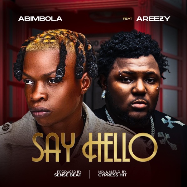 Say Hello (feat. Areezy) [Remix]