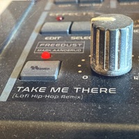 Take Me There (Lofi Hip Hop Remix) [feat. Mark Aanderud] - Single - Freedust