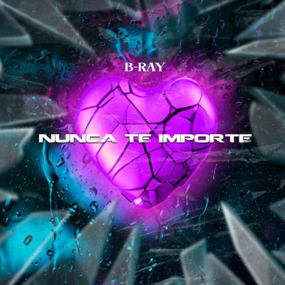 Nunca Te Importé - Single