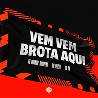 Vem Vem Brota Aqui - Single - MC Leleto & MC MN