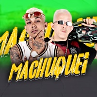 Machuquei - Single - Meck Gibizinho & MC BDR