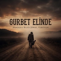 Gurbet Elinde (Anadolu Blues Şiirsel Versiyon) - Single - ans32