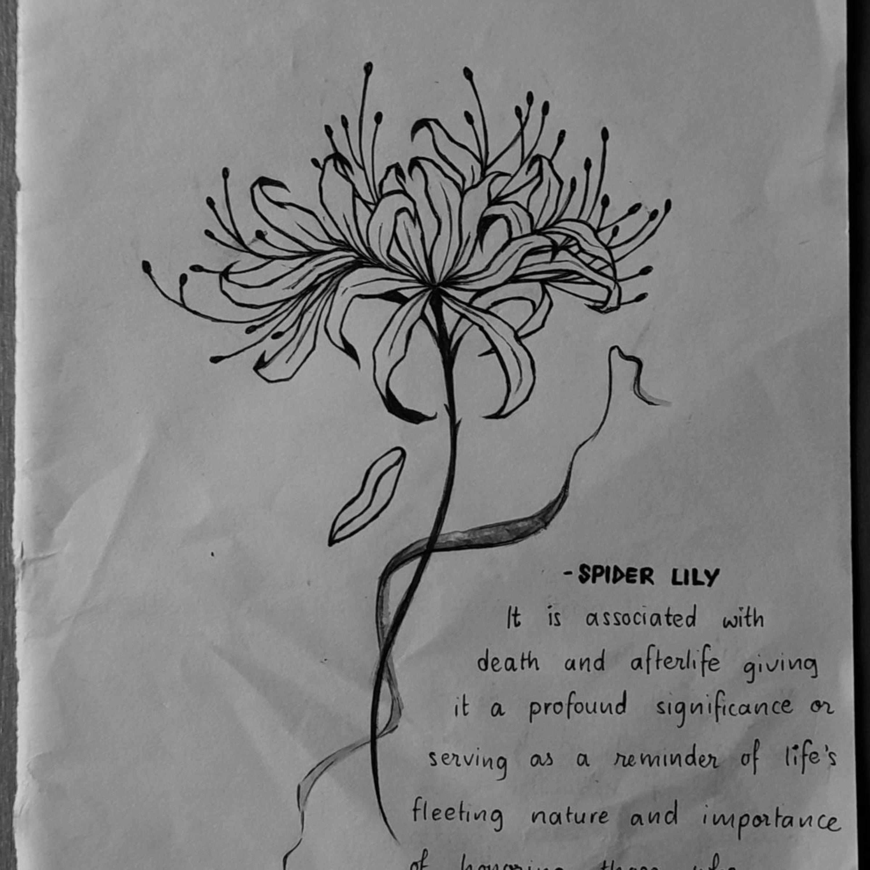 spider lily - EP