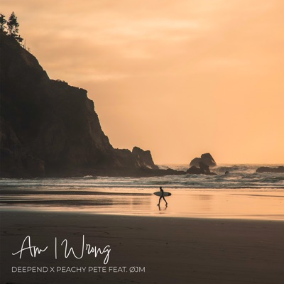 Am I Wrong (432 Hz Edit) [feat. OJM] - Single