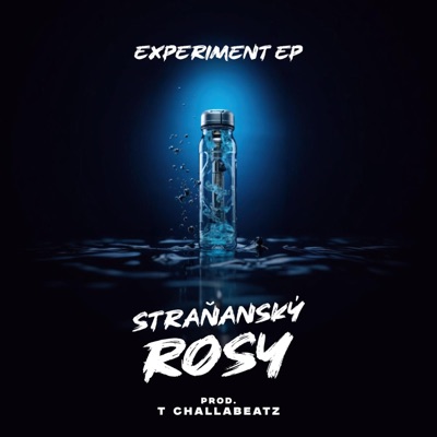 Experiment (feat. T challabeatz) - EP