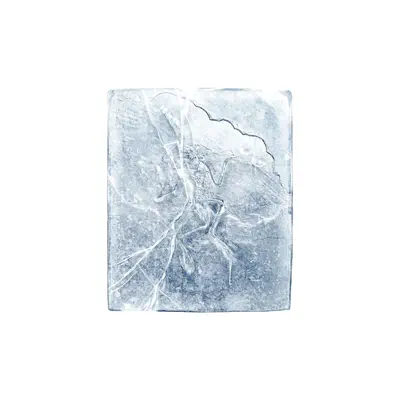 Ascolta 'ARCTERYX - EP' di Rex Racer