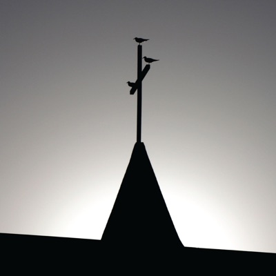 Westheimer Road - Single