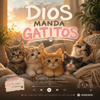 DIOS MANDA GATITOS - Inglés Fácil new Single