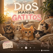 DIOS MANDA GATITOS