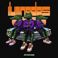 Iluminados - Single - Alligatxrs