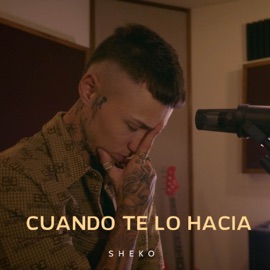 Cuando Te Lo Hacia (Version Acústica) Sheko