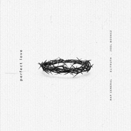 Perfect Love (feat. Joel Booksz & EliTruth) Rap General