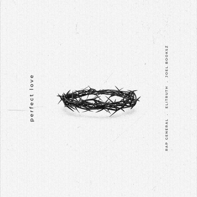 Perfect Love (feat. Joel Booksz & EliTruth) - Single
