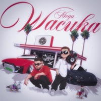 Mega Wacuka (feat. DJ Paludo) - Single - Dj Nascimento