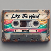 The Most Mysterious Song On The Internet (Like The Wind) artwork