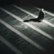 Sujud artwork