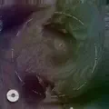 Psychic Overload