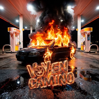 Voy en Camino - Single