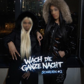 Schaden #2 (WACH DIE GANZE NACHT) (feat. N1G1 & OHNINE) Locaine Binks