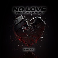 No Love (She Ain't Know) - Single - Exploid