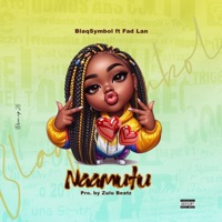 NAAMUTU (feat. Fad Lan) - Single - BlaqSymbol