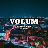 VOLUM (feat. Sweb) - Single - RONE DAMASC