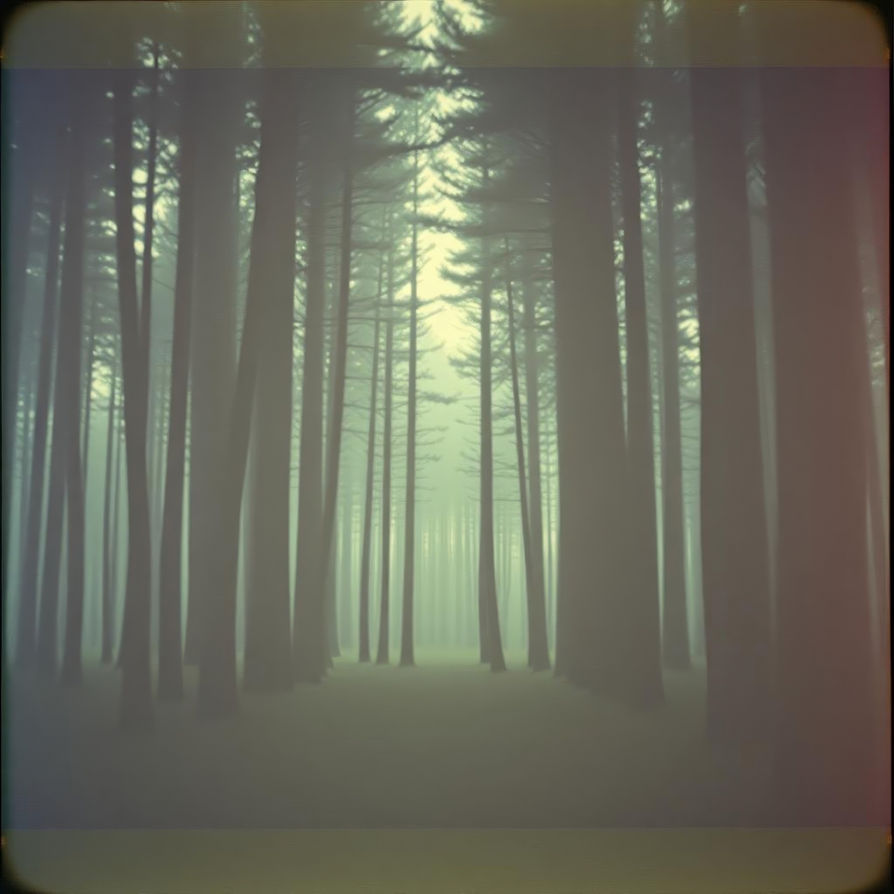 Silence Qui Crie - Single