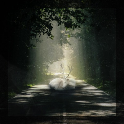 Before You Go (feat. Lovely Nothing) - Single