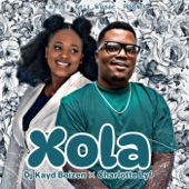 Xola artwork