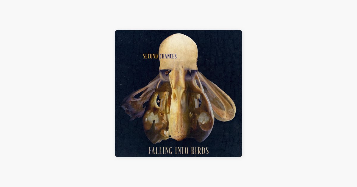 {album.title.rendered}