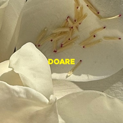 Doare - Single