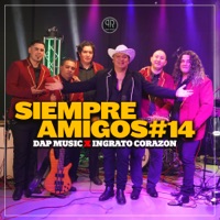 Siempre Amigos #14 (En Vivo) - DAP Music & Ingrato Corazón