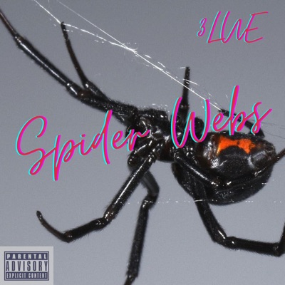 Spider Webs - Single