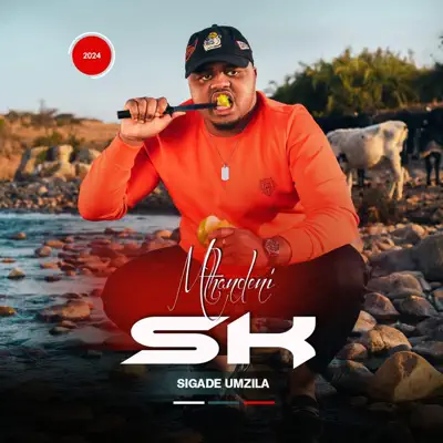 Listen to Impisi Iyalaya by Mthandeni SK