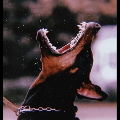 Bodybag Testimony - Single