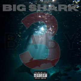 Big Shark Baby3rd