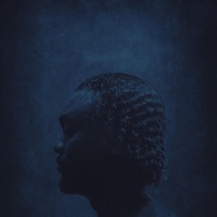 Book Of King - King Rizzy