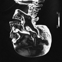 5.56 (feat. XZILO) - Single - FXSVC