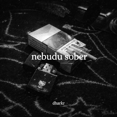 nebudu sober - Single