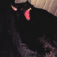 no . - Single - 808AINE